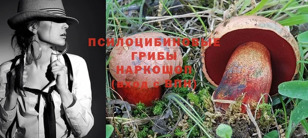 бошки Алексеевка