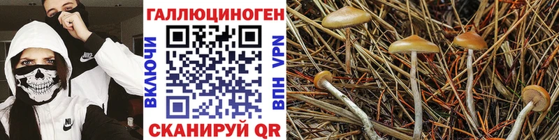 наркотики  Якутск  Галлюциногенные грибы ЛСД 